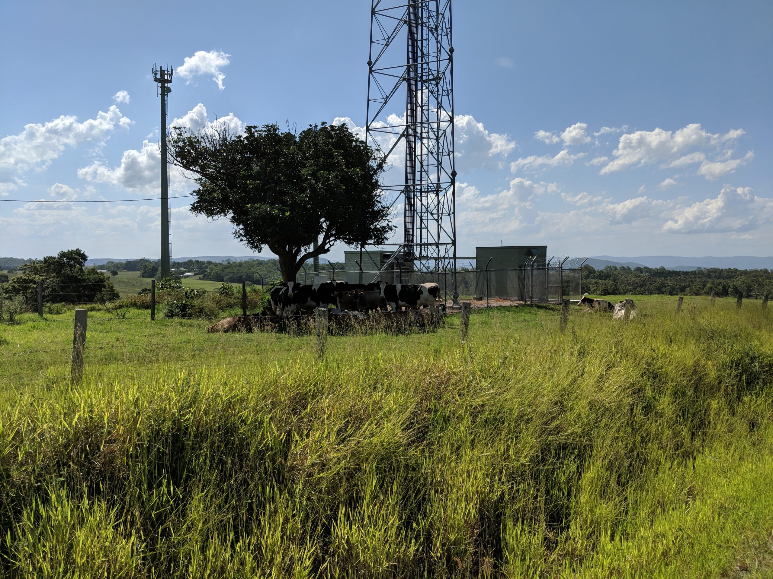 Telecommunications tower in rural landscape